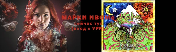 прущие грибы Лихославль
