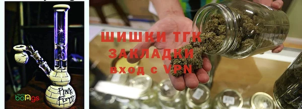 гидра Майский