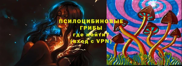 гидра Майский